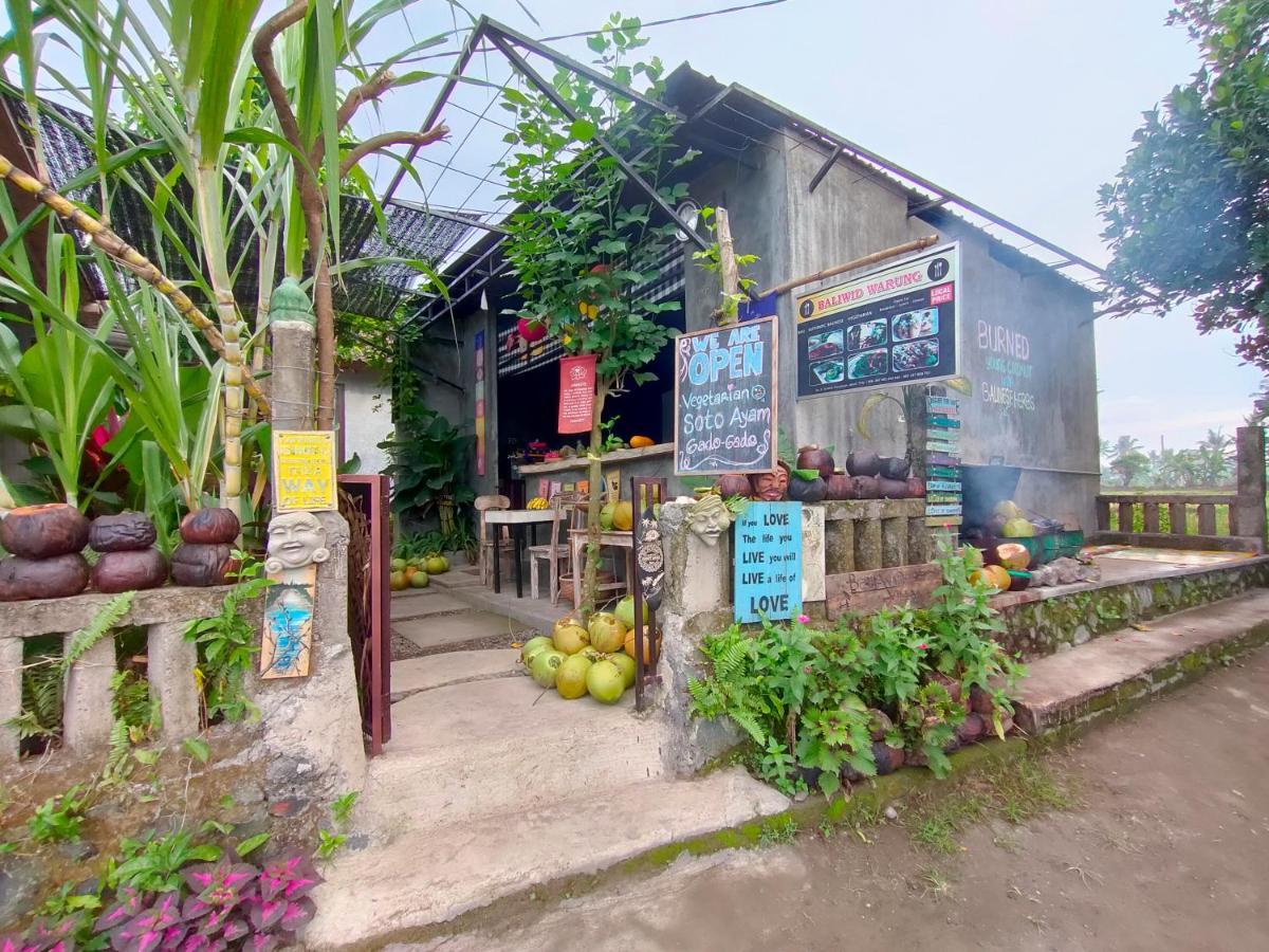 D'Nanda Villa Ubud Zewnętrze zdjęcie