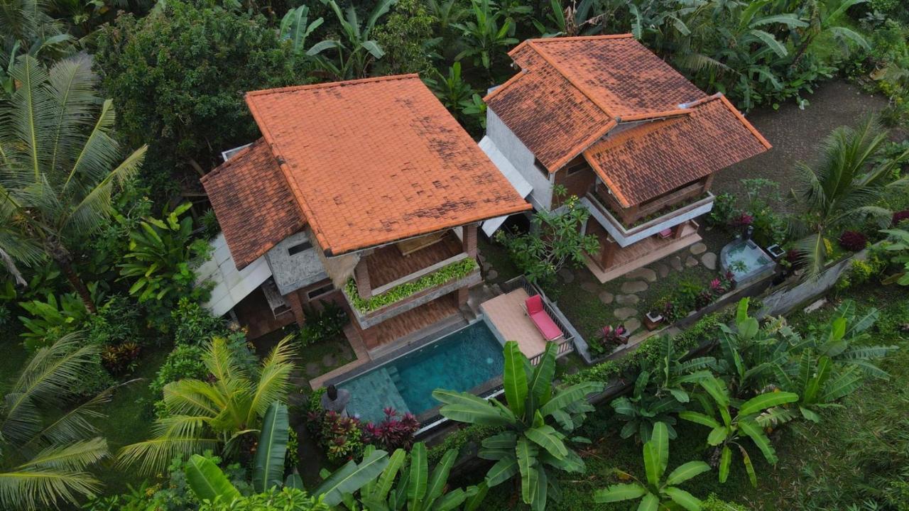 D'Nanda Villa Ubud Zewnętrze zdjęcie
