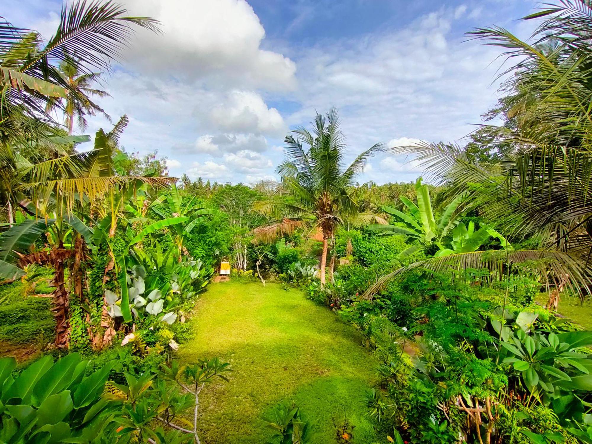 D'Nanda Villa Ubud Zewnętrze zdjęcie