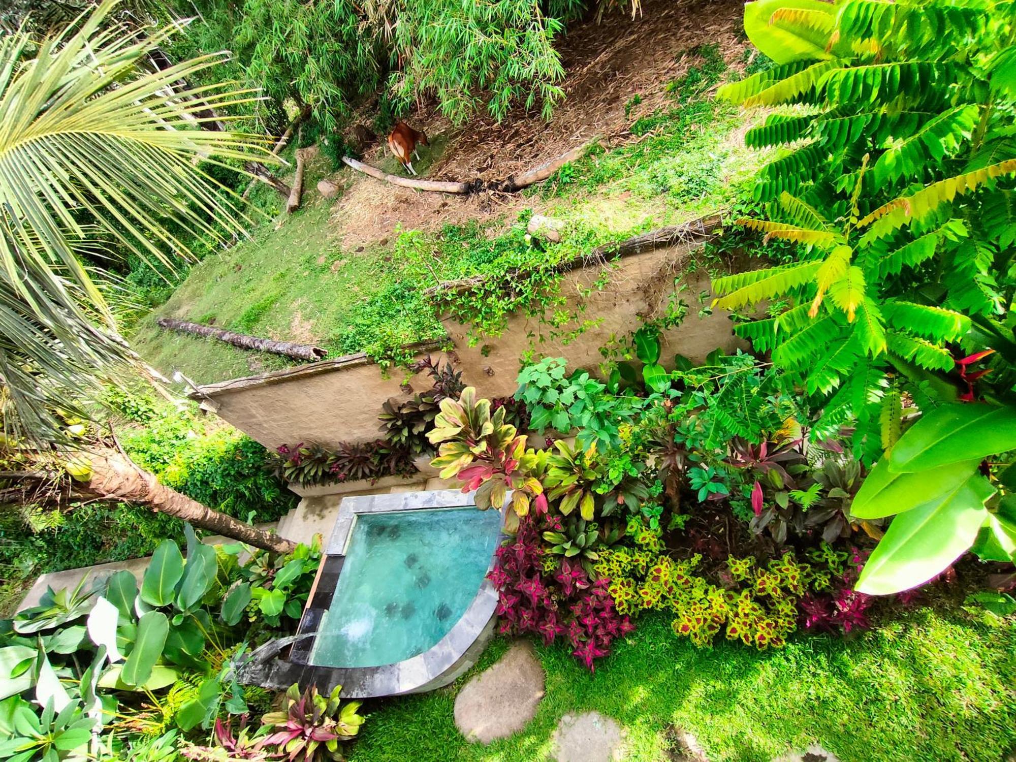 D'Nanda Villa Ubud Zewnętrze zdjęcie