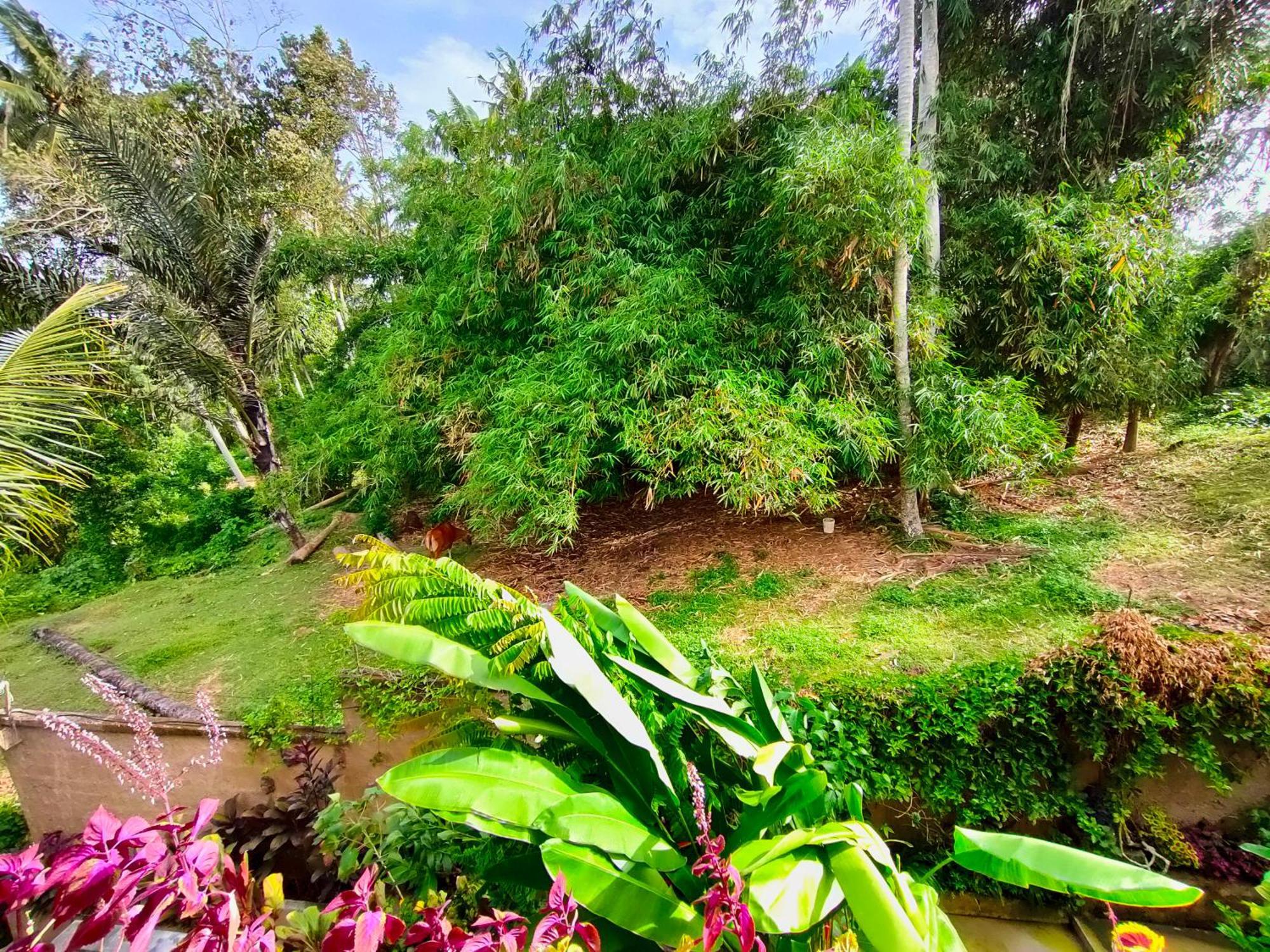 D'Nanda Villa Ubud Pokój zdjęcie