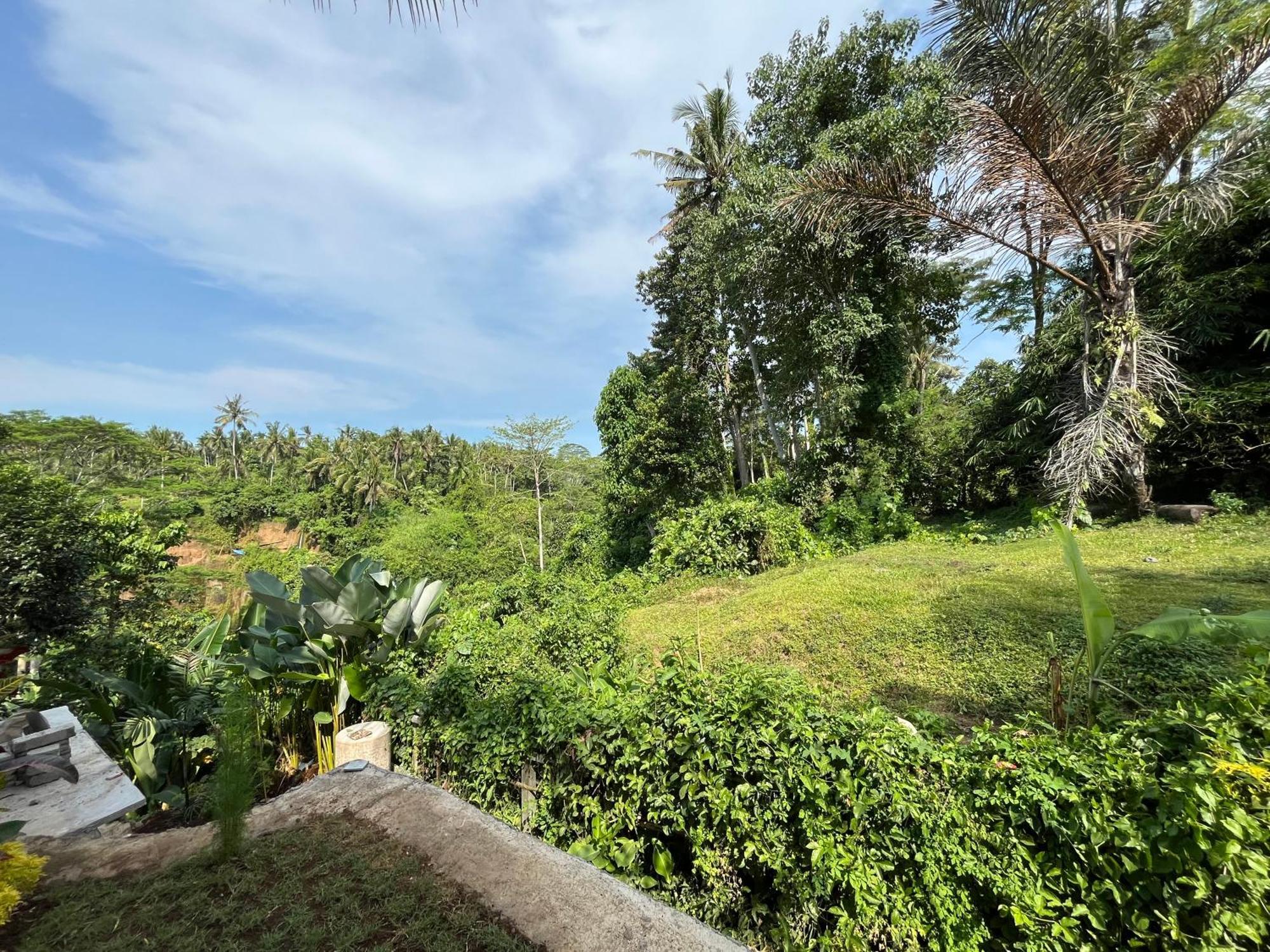D'Nanda Villa Ubud Zewnętrze zdjęcie