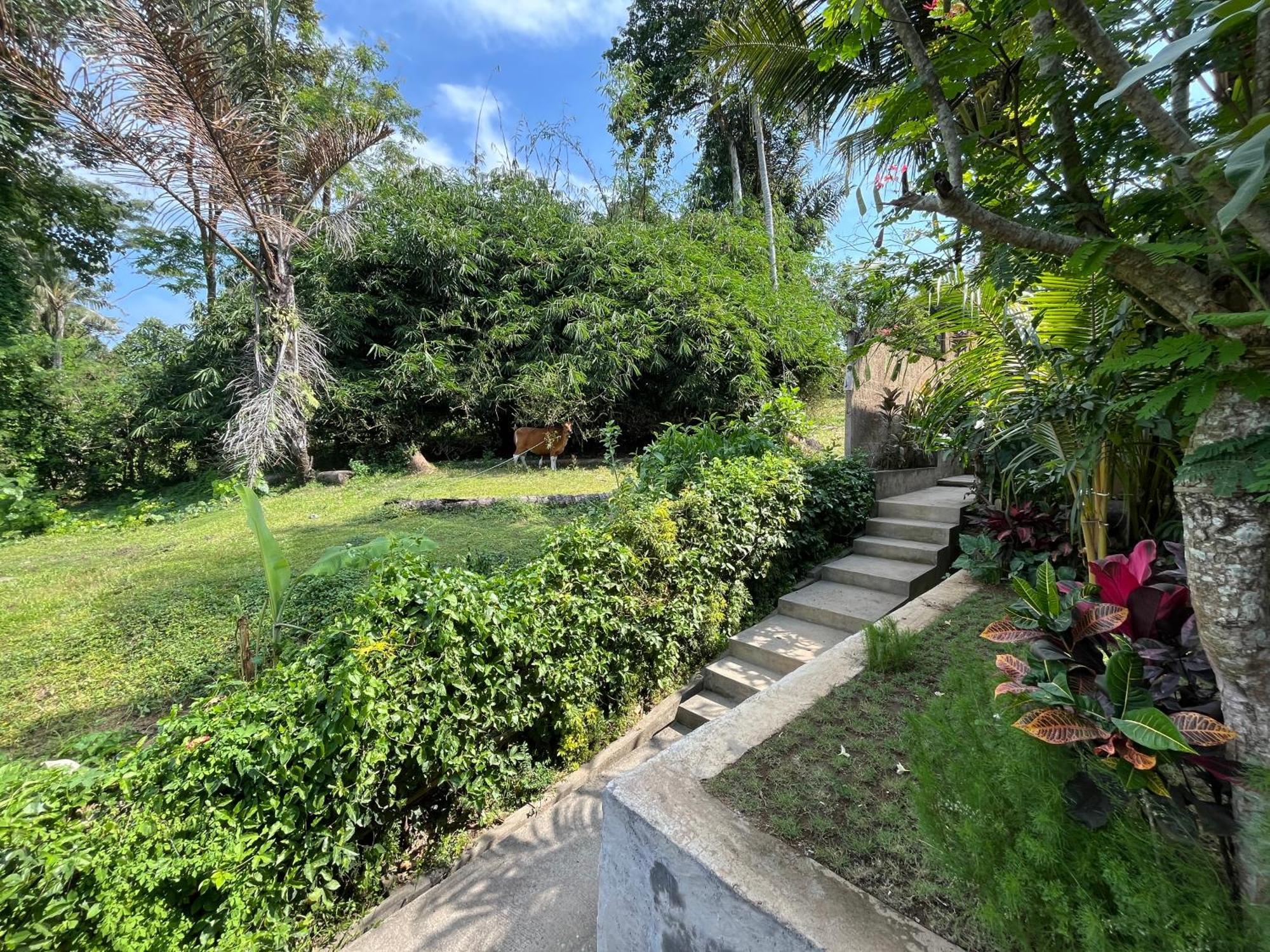 D'Nanda Villa Ubud Zewnętrze zdjęcie